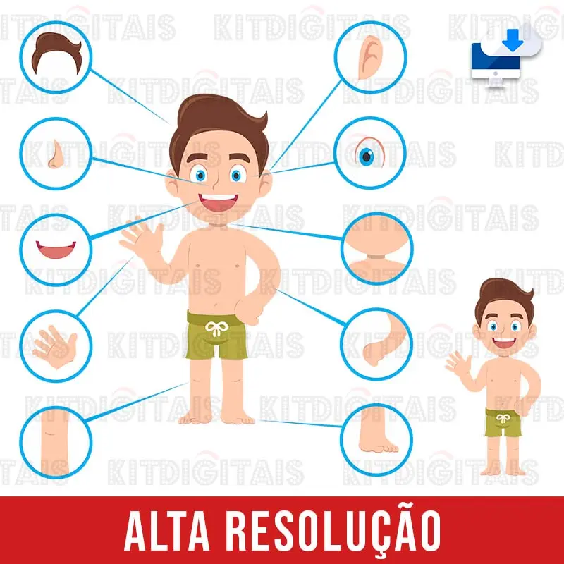 Menino Corpo Humano
